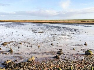 Ferienhaus Højer  18