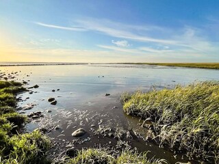 Maison de vacances Højer  20