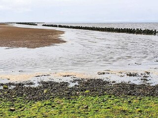 Maison de vacances Højer  21