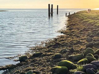 Casa per le vacanze Højer  18