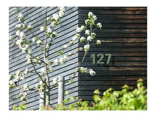 Appartamento per vacanze Jungholz Registrazione all'aperto 4