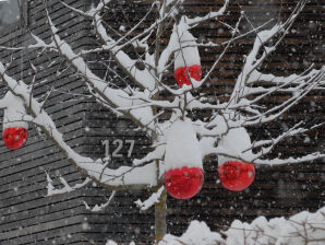 Ferienwohnung jotvier Claudia