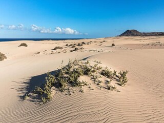 Appartement Corralejo  10