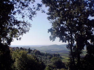 Blick vom Glühwürmchen