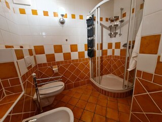 Apartamento Bad Kleinkirchheim Características 13