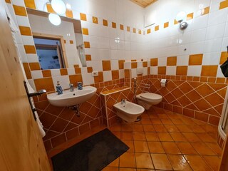 Appartement Bad Kleinkirchheim Kenmerken 10