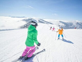 Appartement Bad Kleinkirchheim Environnement 18