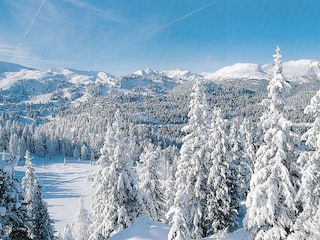 Chalet Stadl an der Mur Umgebung 27