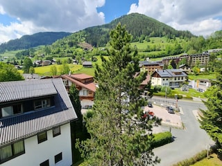 Apartment Bad Kleinkirchheim Umgebung 22