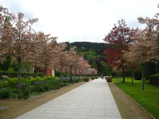 Kurpark Friedrichroda