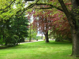 Kurpark Friedrichroda