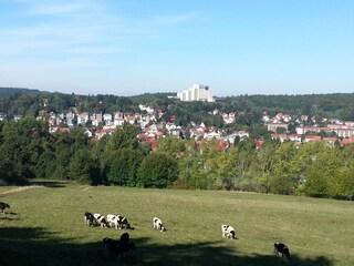 Blick auf Friedrichroda