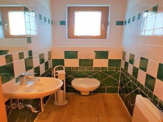 Apartamento Bad Kleinkirchheim Características 12