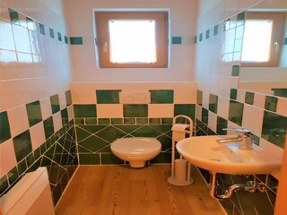 Apartamento Bad Kleinkirchheim Características 14
