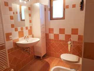 Apartamento Bad Kleinkirchheim Características 13