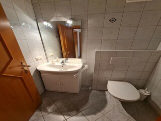 Apartamento Bad Kleinkirchheim Características 14