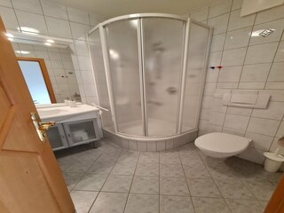Apartamento Bad Kleinkirchheim Características 15