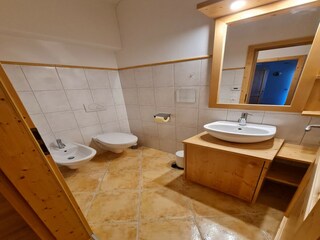 Apartamento Bad Kleinkirchheim Características 11