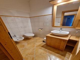 Appartamento Bad Kleinkirchheim Caratteristiche 10