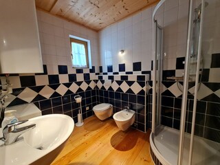 Apartamento Bad Kleinkirchheim Características 11