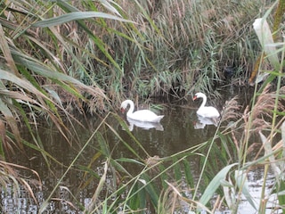 Entdeckt im Müritz Nationalpark