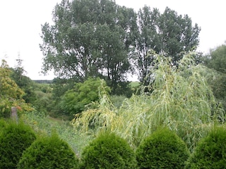 Blick vom Wohnzimmer und Terrasse in die Natur