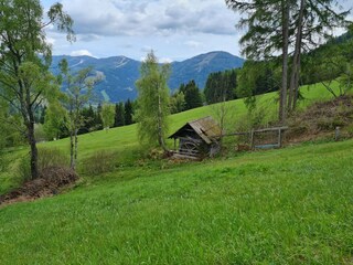 Apartamento Bad Kleinkirchheim Grabación al aire libre 3