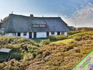 Vakantieappartement Scholekster