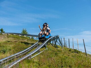 Vakantiepark Turracherhöhe Omgeving 25