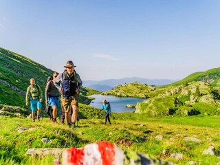 Vakantiepark Turracherhöhe Omgeving 18