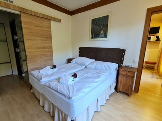 Appartamento Bad Kleinkirchheim Caratteristiche 7