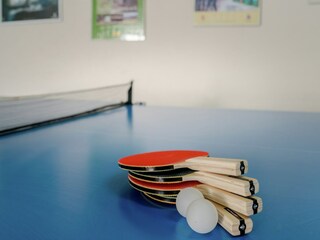 Cottage Navas de Estena  40