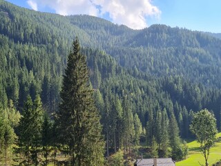 Appartement Wiedweg Enregistrement extérieur 4