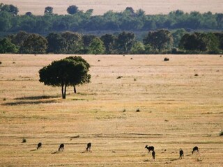 Vakantiehuisje Navas de Estena Omgeving 36