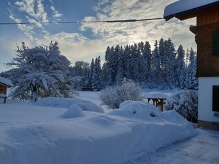 Winter am Haus