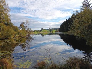 Der Widdumer Weiher