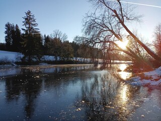 Der Widdumer Weiher