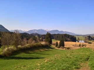 Blick auf den Weiher