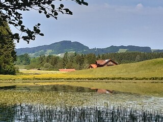 Blick zum Landhaus Jenn