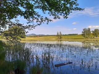 Blick zum Weiher