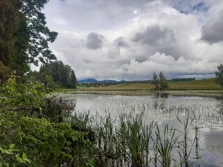 Blick auf den Weiher