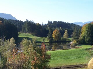 Blick auf den Weiher