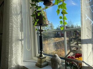 Ferienhaus Mellerud  22