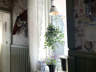 Ferienhaus Mellerud  35