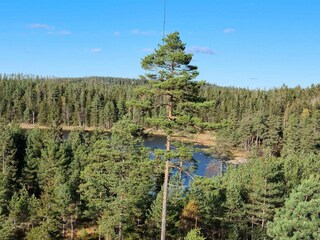 Vakantiehuis Mellerud  61