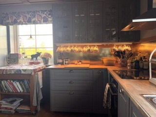 Vakantiehuis Mellerud  58