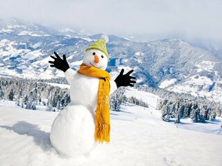 Vakantiepark St. Lorenzen ob Murau Omgeving 26
