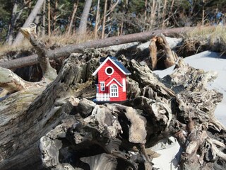 Häuschen am Weststrand