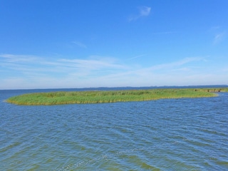 Your Darß vacation: The "Borner Bülten" nature paradise