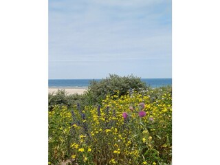 Strandspaziergang